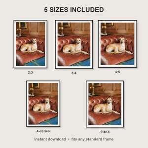 Whippet Wall Art print size chart - 5 ratios included: 2:3, 3:4, 4:5, 11x14, ISO A