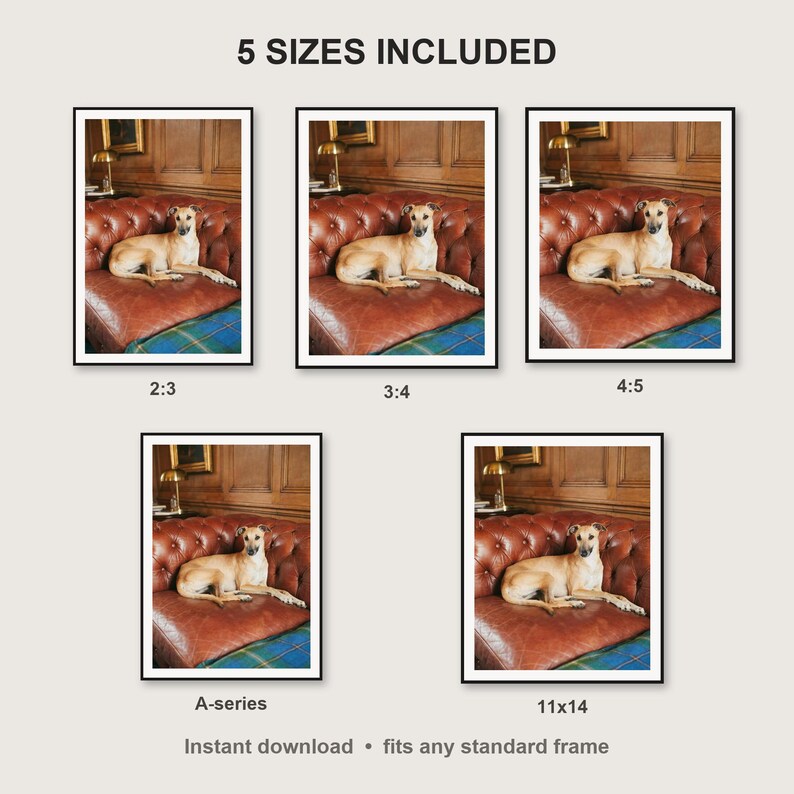 Whippet Wall Art print size chart - 5 ratios included: 2:3, 3:4, 4:5, 11x14, ISO A