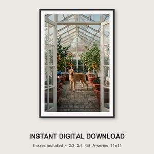 Rhodesian Ridgeback Orangery Print | Vintage Dog Photography (Digital Download) image 3