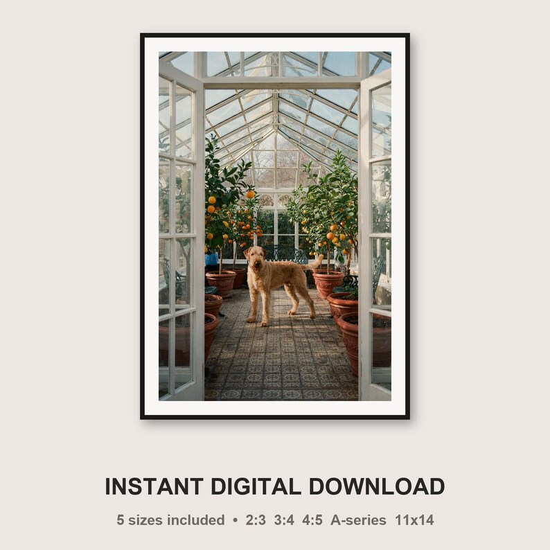 Rhodesian Ridgeback Orangery Print | Vintage Dog Photography (Digital Download) image 3