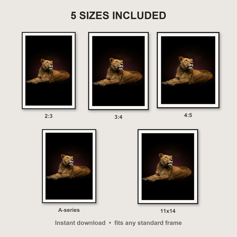 Lioness Wall Art II print size chart - 5 ratios included: 2:3, 3:4, 4:5, 11x14, ISO A