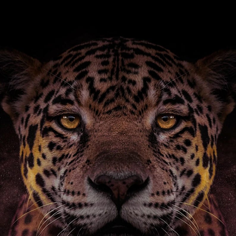 Jaguar Wall Art | Brass Rimmed Print | Black Gold Animal Decor (Digital Download) image 4