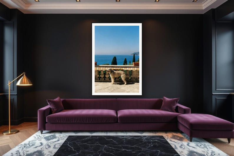 Afghan Hound Wall Art art print framed in a luxury living room