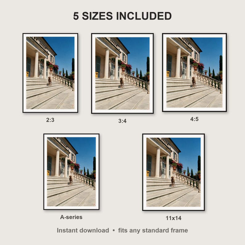 Weimaraner Wall Art print size chart - 5 ratios included: 2:3, 3:4, 4:5, 11x14, ISO A