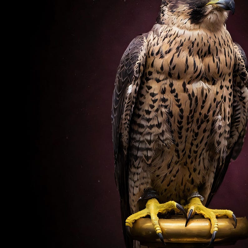 Close-up detail of Falcon Wall Art II art print