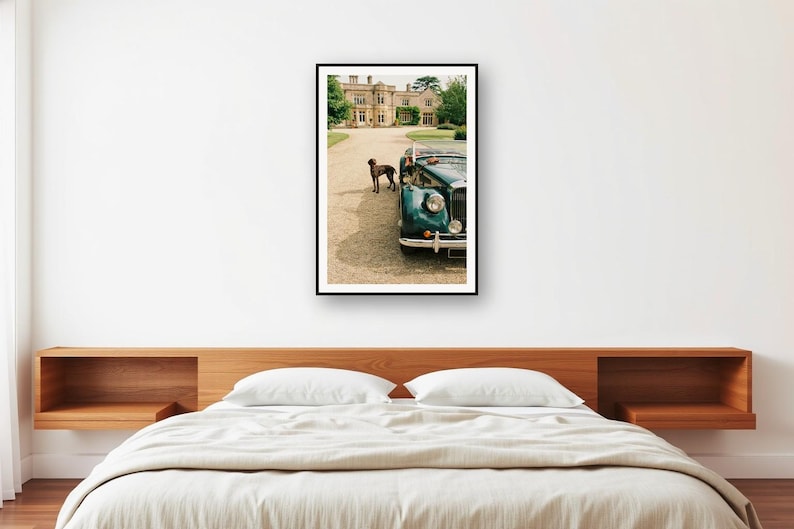 German Shorthaired Pointer Dog Beside Vintage Roadster Print | Retro Estate Photography (Digital Download) image 2