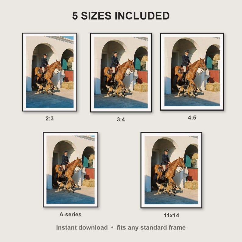 Dutch Shepherd Wall Art print size chart - 5 ratios included: 2:3, 3:4, 4:5, 11x14, ISO A