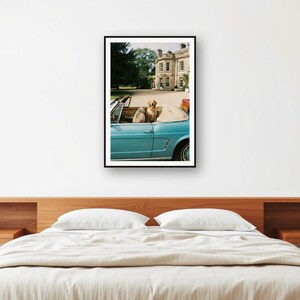 Photo d'une voiture décapotable Golden Retriever | Photographie de chien de luxe vintage (Téléchargement numérique) image 2