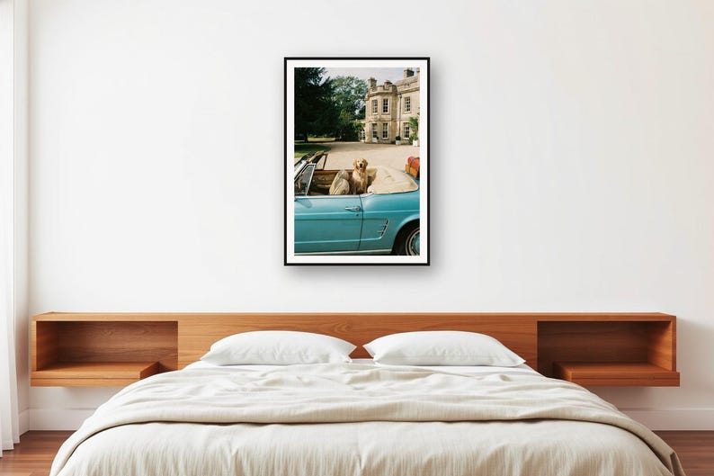 Photo d'une voiture décapotable Golden Retriever | Photographie de chien de luxe vintage (Téléchargement numérique) image 2