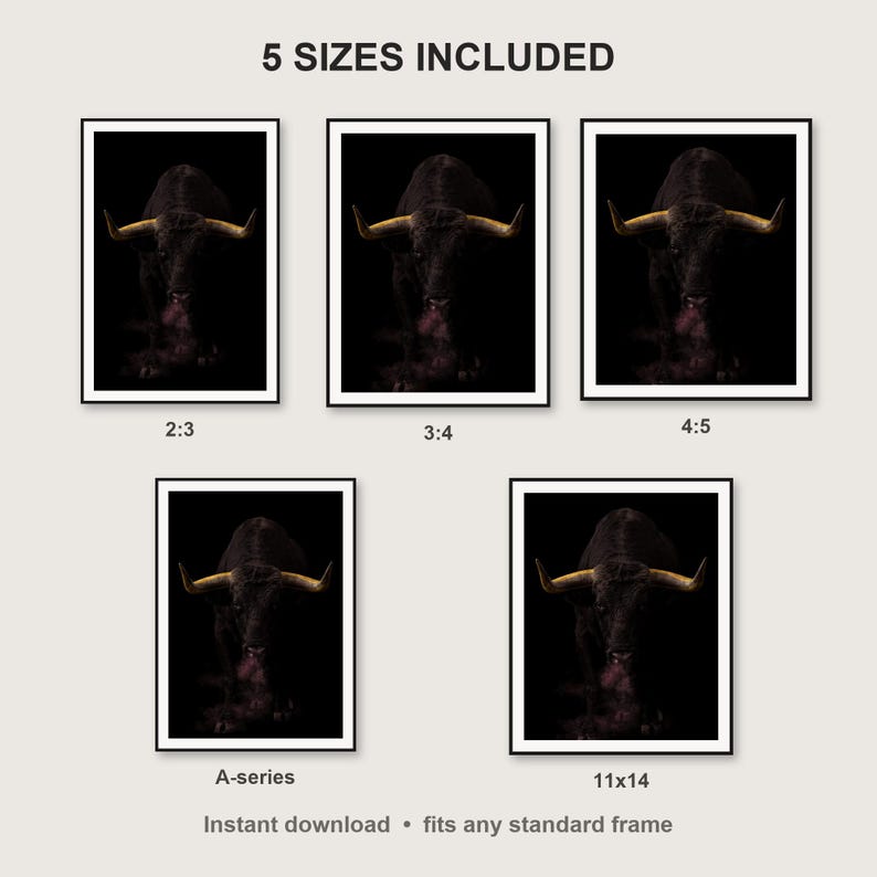Bull Wall Art print size chart - 5 ratios included: 2:3, 3:4, 4:5, 11x14, ISO A
