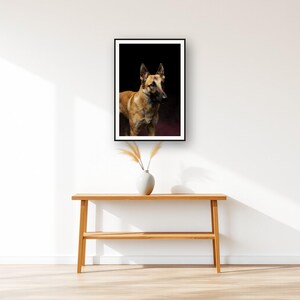 Belgian Malinois Wall Art II art print displayed above an entry console table
