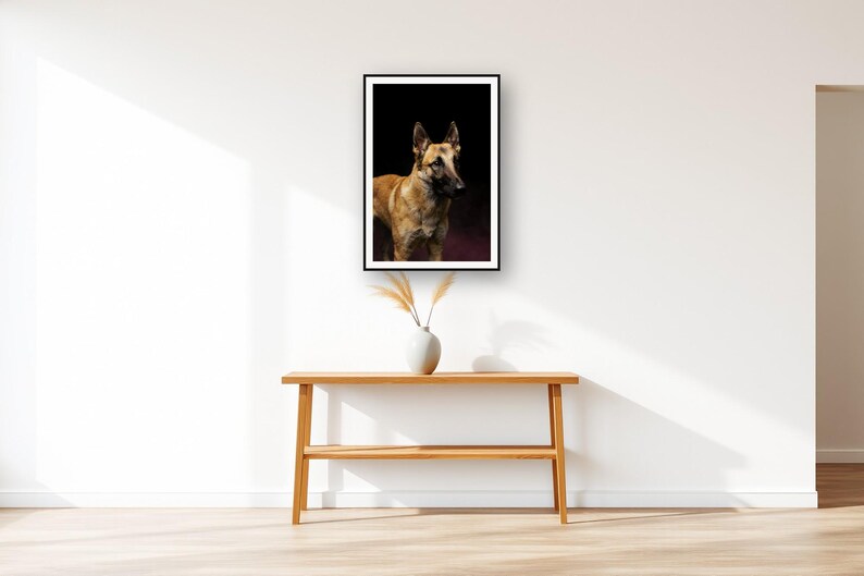 Belgian Malinois Wall Art II art print displayed above an entry console table