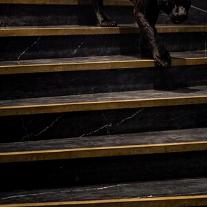Close-up detail of Black Panther Wall Art III art print