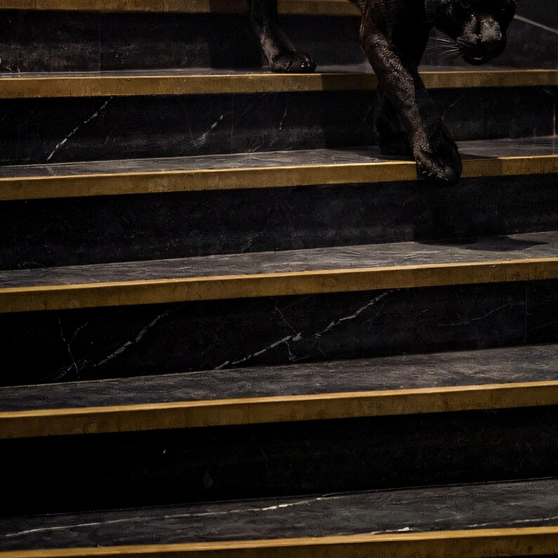 Close-up detail of Black Panther Wall Art III art print