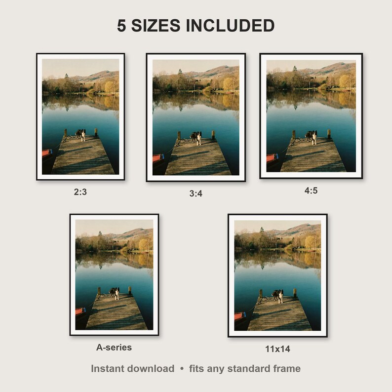 Border Collie Wall Art print size chart - 5 ratios included: 2:3, 3:4, 4:5, 11x14, ISO A