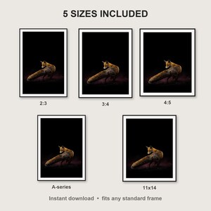 Fox Wall Art print size chart - 5 ratios included: 2:3, 3:4, 4:5, 11x14, ISO A