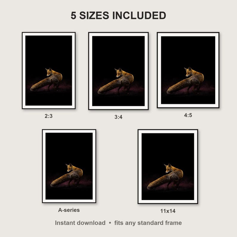 Fox Wall Art print size chart - 5 ratios included: 2:3, 3:4, 4:5, 11x14, ISO A