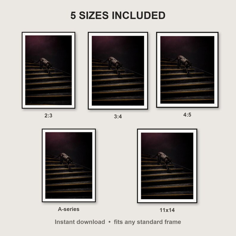 Black Panther Wall Art III print size chart - 5 ratios included: 2:3, 3:4, 4:5, 11x14, ISO A