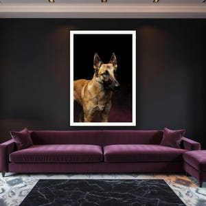 Belgian Malinois Wall Art II art print framed in a luxury living room
