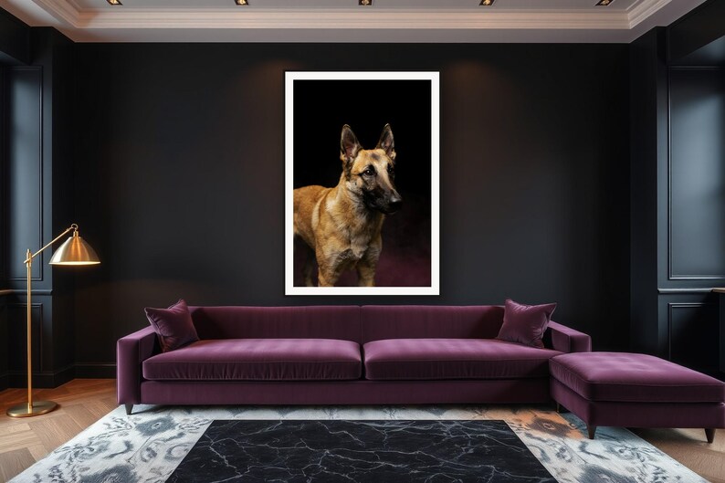 Belgian Malinois Wall Art II art print framed in a luxury living room