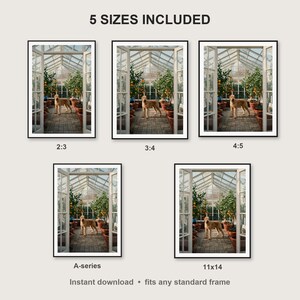 Rhodesian Ridgeback Wall Art print size chart - 5 ratios included: 2:3, 3:4, 4:5, 11x14, ISO A