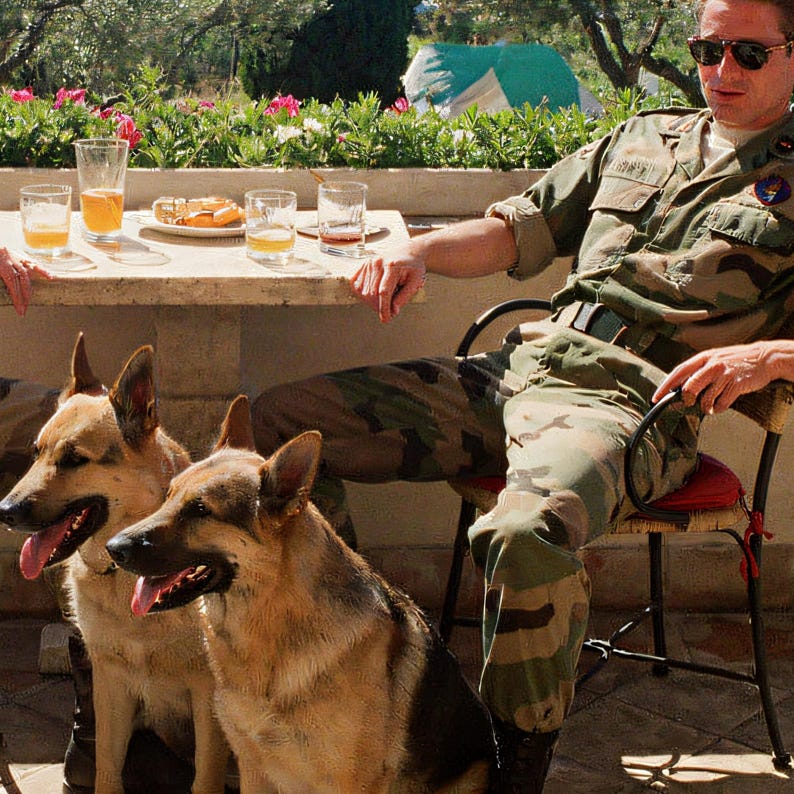 Close-up detail of Military K9 Wall Art art print
