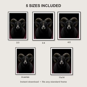 Ram Wall Art print size chart - 5 ratios included: 2:3, 3:4, 4:5, 11x14, ISO A