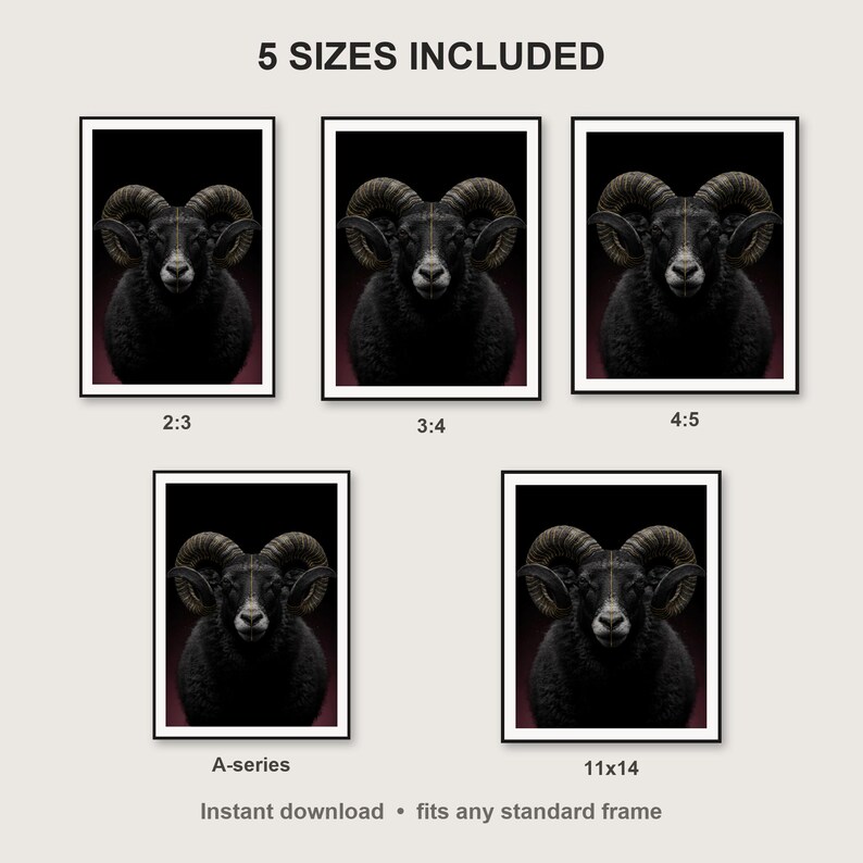 Ram Wall Art print size chart - 5 ratios included: 2:3, 3:4, 4:5, 11x14, ISO A