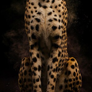 Close-up detail of Cheetah Wall Art art print