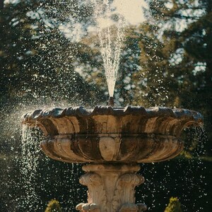 Cavalier Spaniel Stone Fountain Print | Vintage Garden Dog Photography (Digital Download) image 4