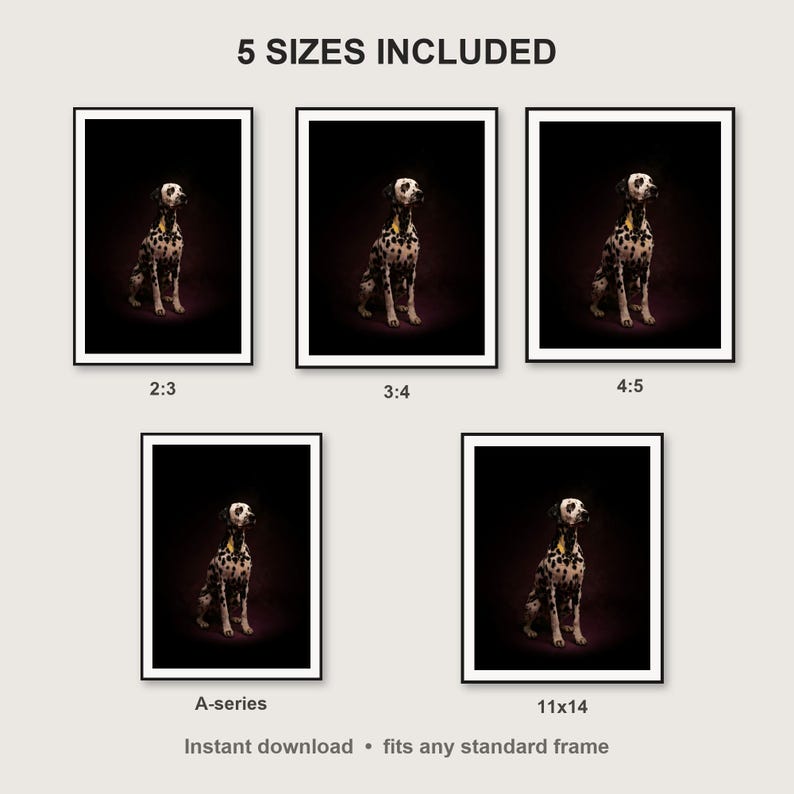Dalmatian Wall Art print size chart - 5 ratios included: 2:3, 3:4, 4:5, 11x14, ISO A