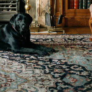 Close-up detail of Black Labrador Wall Art art print