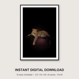 Leopard Wall Art | Brass Rimmed Animal Print | Dark Luxury Editorial (Digital Download) image 3