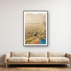 English Pointer Wall Art | Misty Field Print | Vintage Shooting Dog Photography | Country Sporting Decor | Digital Download Printable