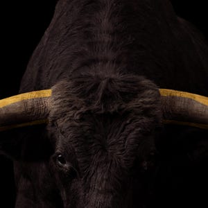 Quadro da parete con toro / Stampa animale con corna in ottone / Decorazione di lusso in nero e oro (Download digitale) immagine 4