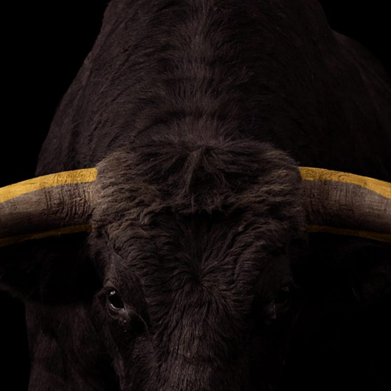 Quadro da parete con toro / Stampa animale con corna in ottone / Decorazione di lusso in nero e oro (Download digitale) immagine 4