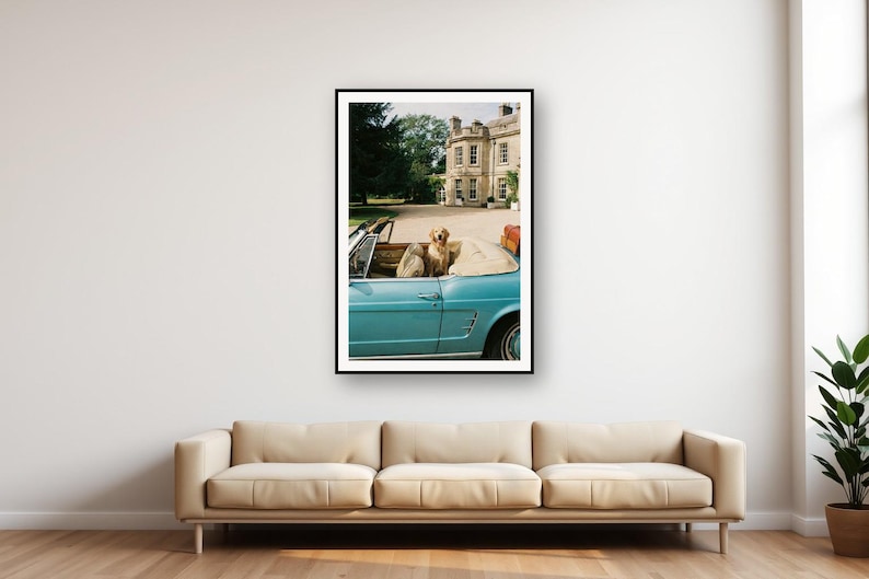 Photo d'une voiture décapotable Golden Retriever | Photographie de chien de luxe vintage (Téléchargement numérique) image 1