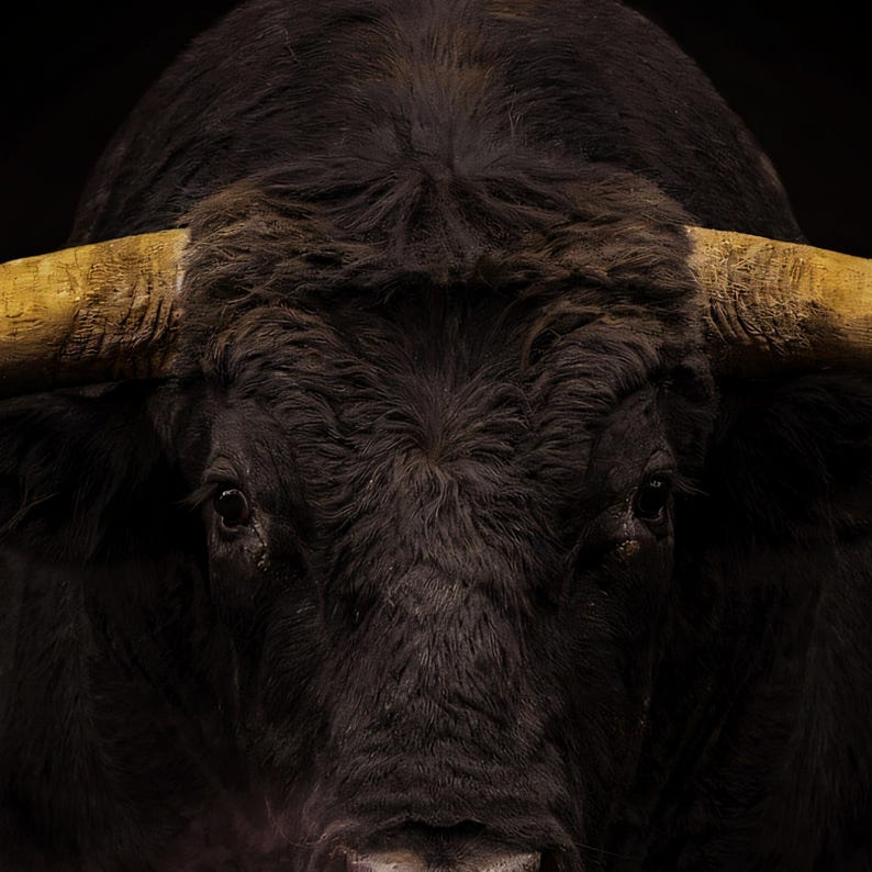 Close-up detail of Bull Wall Art II art print