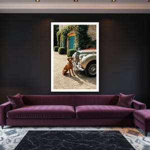 Vizsla Wall Art art print framed in a luxury living room