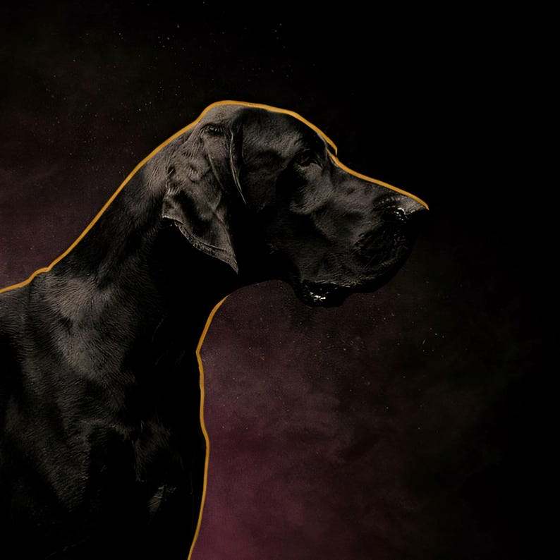 Close-up detail of Great Dane Wall Art II art print