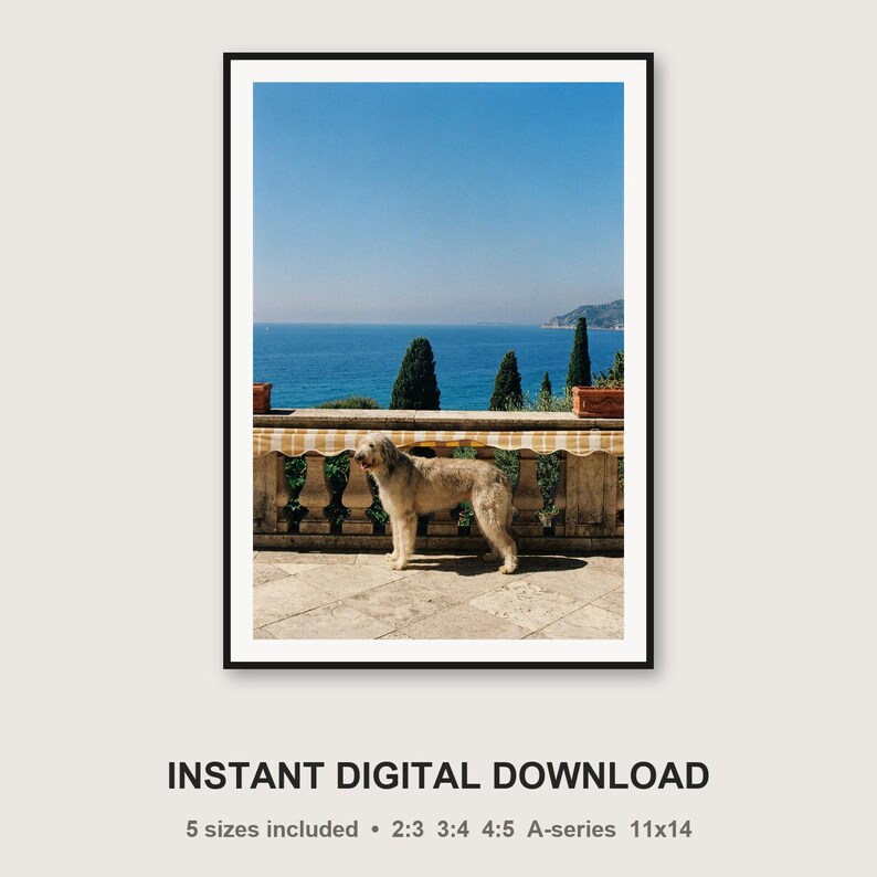 Lámina decorativa de galgo afgano / Estampado de perro en terraza mediterránea (descarga digital) imagen 3