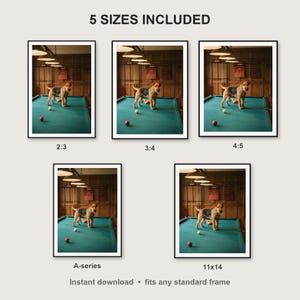 Wire Fox Terrier Wall Art print size chart - 5 ratios included: 2:3, 3:4, 4:5, 11x14, ISO A