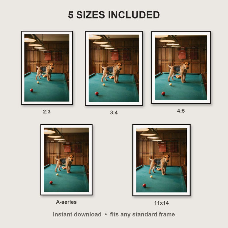 Wire Fox Terrier Wall Art print size chart - 5 ratios included: 2:3, 3:4, 4:5, 11x14, ISO A