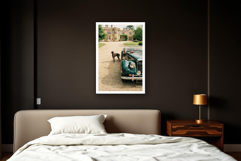 German Shorthaired Pointer Wall Art art print framed in a dark luxury bedroom