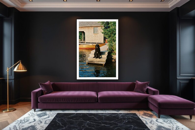 Newfoundland Dog Wall Art art print framed in a luxury living room