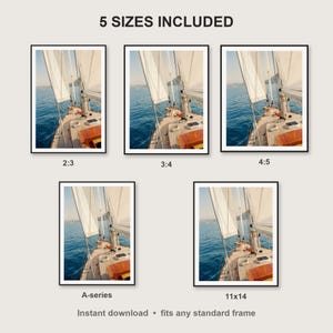 Golden Retriever Wall Art print size chart - 5 ratios included: 2:3, 3:4, 4:5, 11x14, ISO A