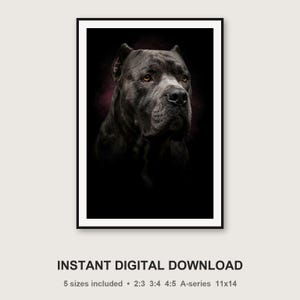 Cane Corso Portrait | Brass Light Dog Art (Digital Download) image 3
