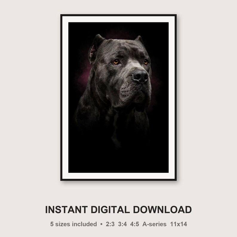 Cane Corso Portrait | Brass Light Dog Art (Digital Download) image 3