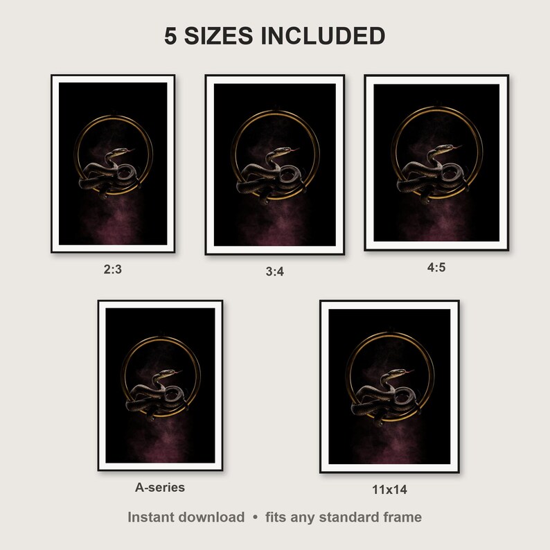 Serpent Wall Art print size chart - 5 ratios included: 2:3, 3:4, 4:5, 11x14, ISO A