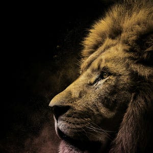 Lion Wall Art Print | Brass Rimmed Mane, Black Gold Animal Decor (Digital Download) image 4